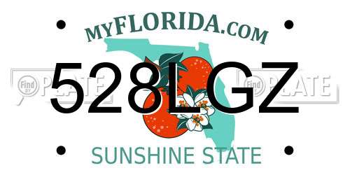 528LGZ Florida License Plate