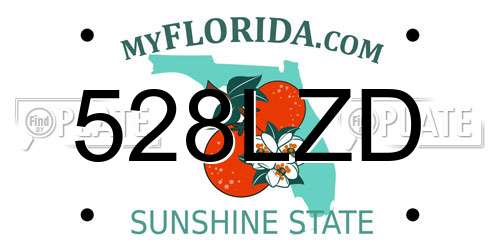 528LZD Florida License Plate