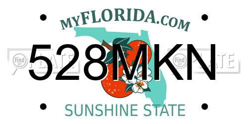 528MKN Florida License Plate