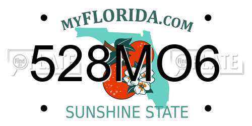 528MO6 Florida License Plate