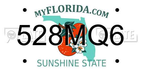 528MQ6 Florida License Plate