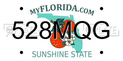 528MQG Florida License Plate
