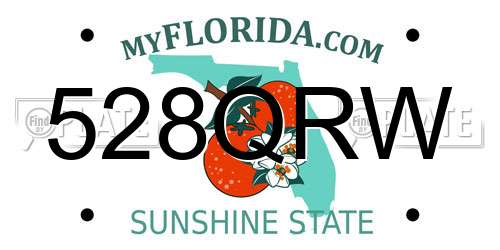 528QRW Florida License Plate