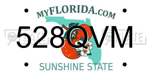 528QVM Florida License Plate