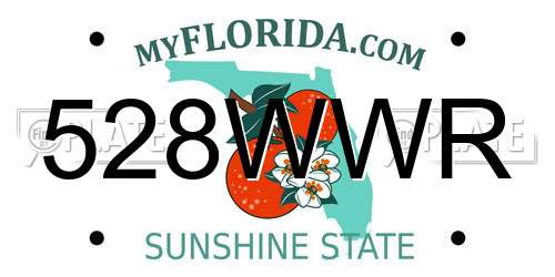 528WWR Florida License Plate