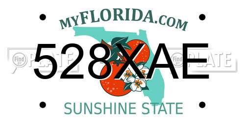528XAE Florida License Plate
