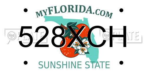 528XCH Florida License Plate