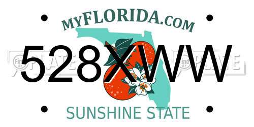 528XWW Florida License Plate