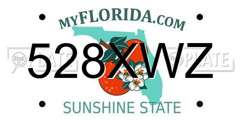 528XWZ Florida License Plate