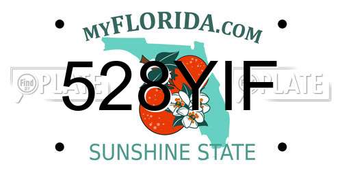 528YIF Florida License Plate
