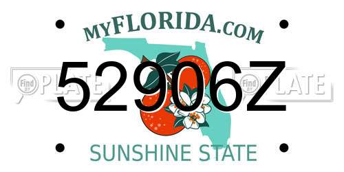 52906Z Florida License Plate