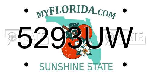5293UW Florida License Plate