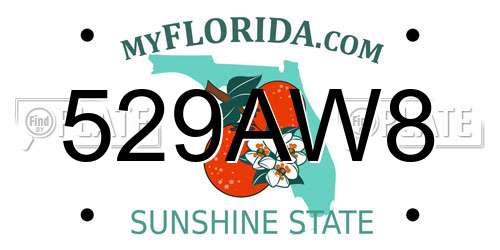 529AW8 Florida License Plate