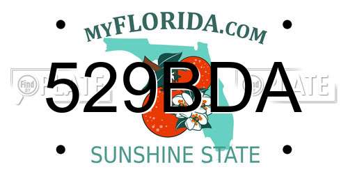 529BDA Florida License Plate