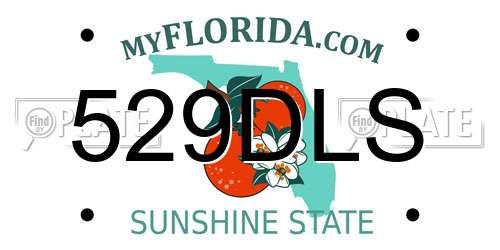 529DLS Florida License Plate