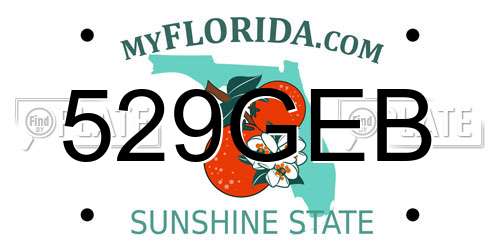 529GEB Florida License Plate