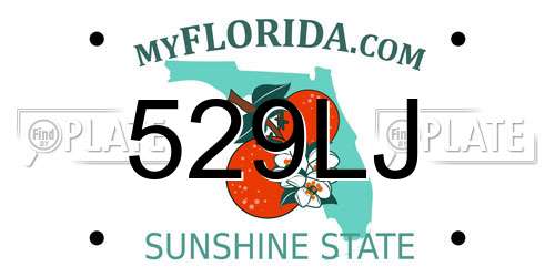 529LJ Florida License Plate