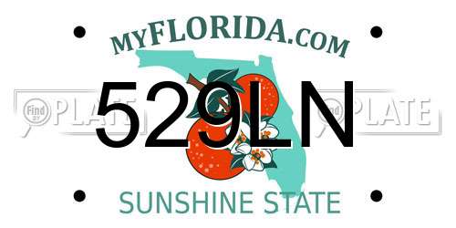 529LN Florida License Plate
