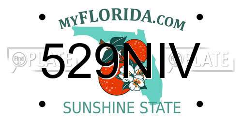 529NIV Florida License Plate