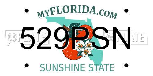 529PSN Florida License Plate