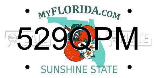 529QPM Florida License Plate