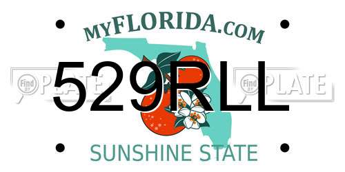 529RLL Florida License Plate