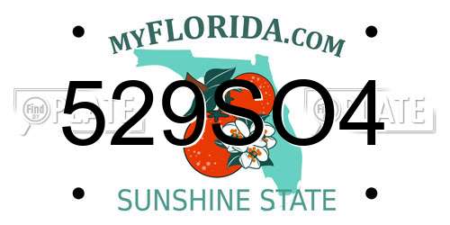 529SO4 Florida License Plate