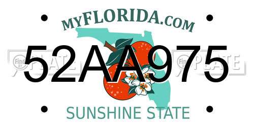 52AA975 Florida License Plate