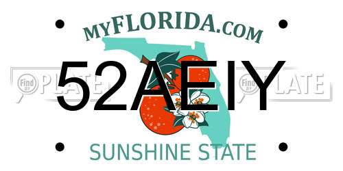 52AEIY Florida License Plate