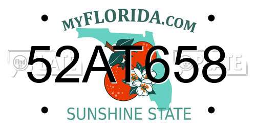 52AT658 Florida License Plate