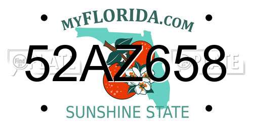 52AZ658 Florida License Plate