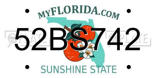 52BS742 Florida License Plate