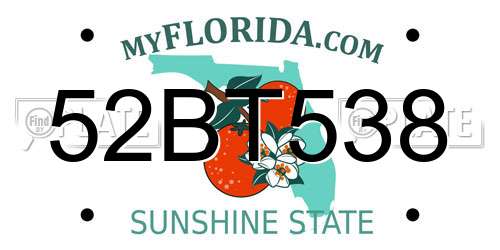 52BT538 Florida License Plate