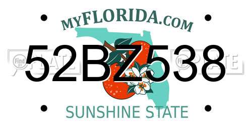 52BZ538 Florida License Plate