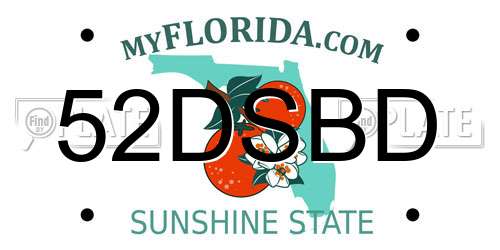 52DSBD Florida License Plate