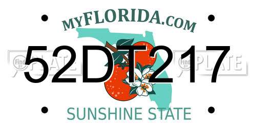 52DT217 Florida License Plate