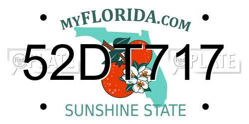 52DT717 Florida License Plate