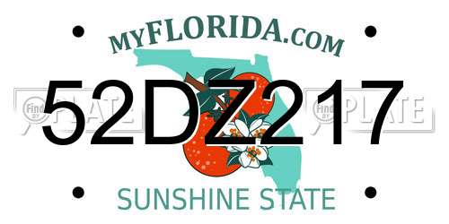 52DZ217 Florida License Plate