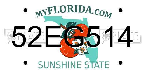 52EG514 Florida License Plate