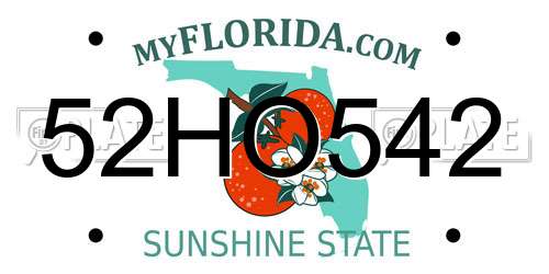 52HO542 Florida License Plate