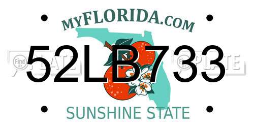 52LB733 Florida License Plate