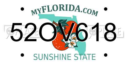 52OV618 Florida License Plate