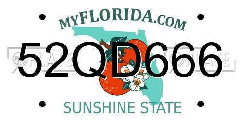 52QD666 Florida License Plate