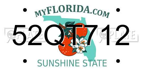 52QT712 Florida License Plate
