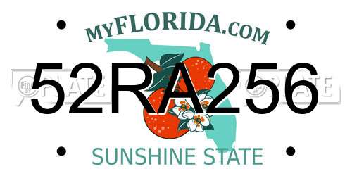 52RA256 Florida License Plate