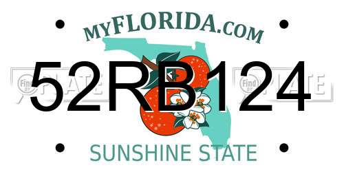 52RB124 Florida License Plate