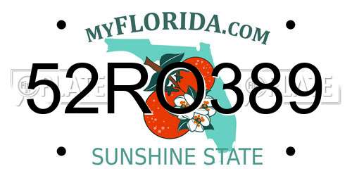 52RO389 Florida License Plate