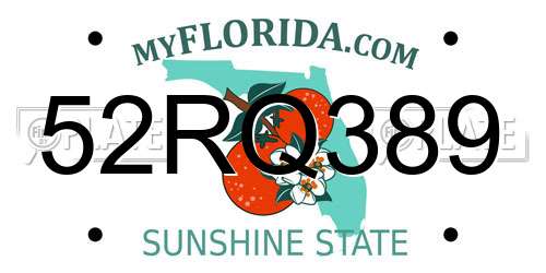 52RQ389 Florida License Plate