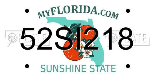 52SI218 Florida License Plate