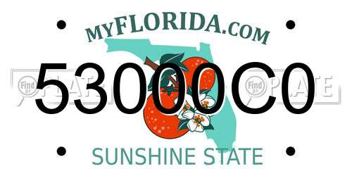 53000C0 Florida License Plate